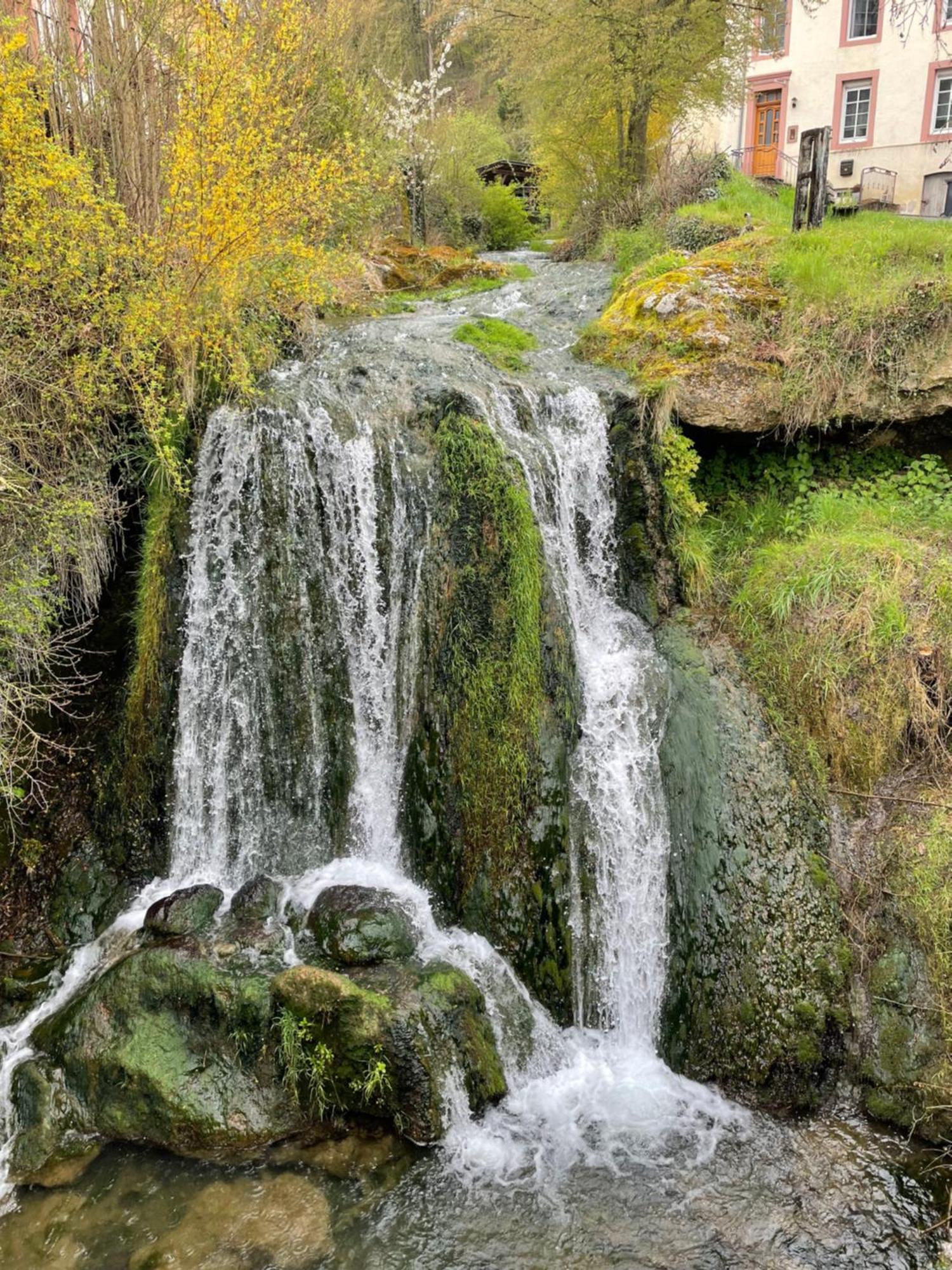 Pension Zur Quelle Deudesfeld Buitenkant foto