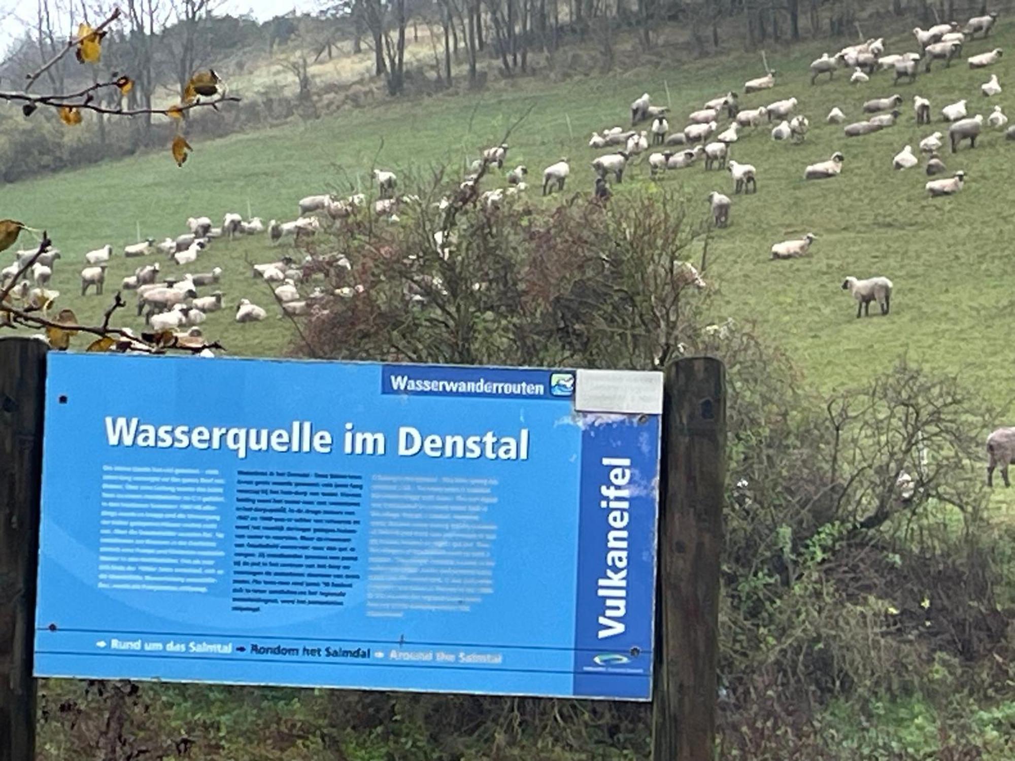 Pension Zur Quelle Deudesfeld Buitenkant foto