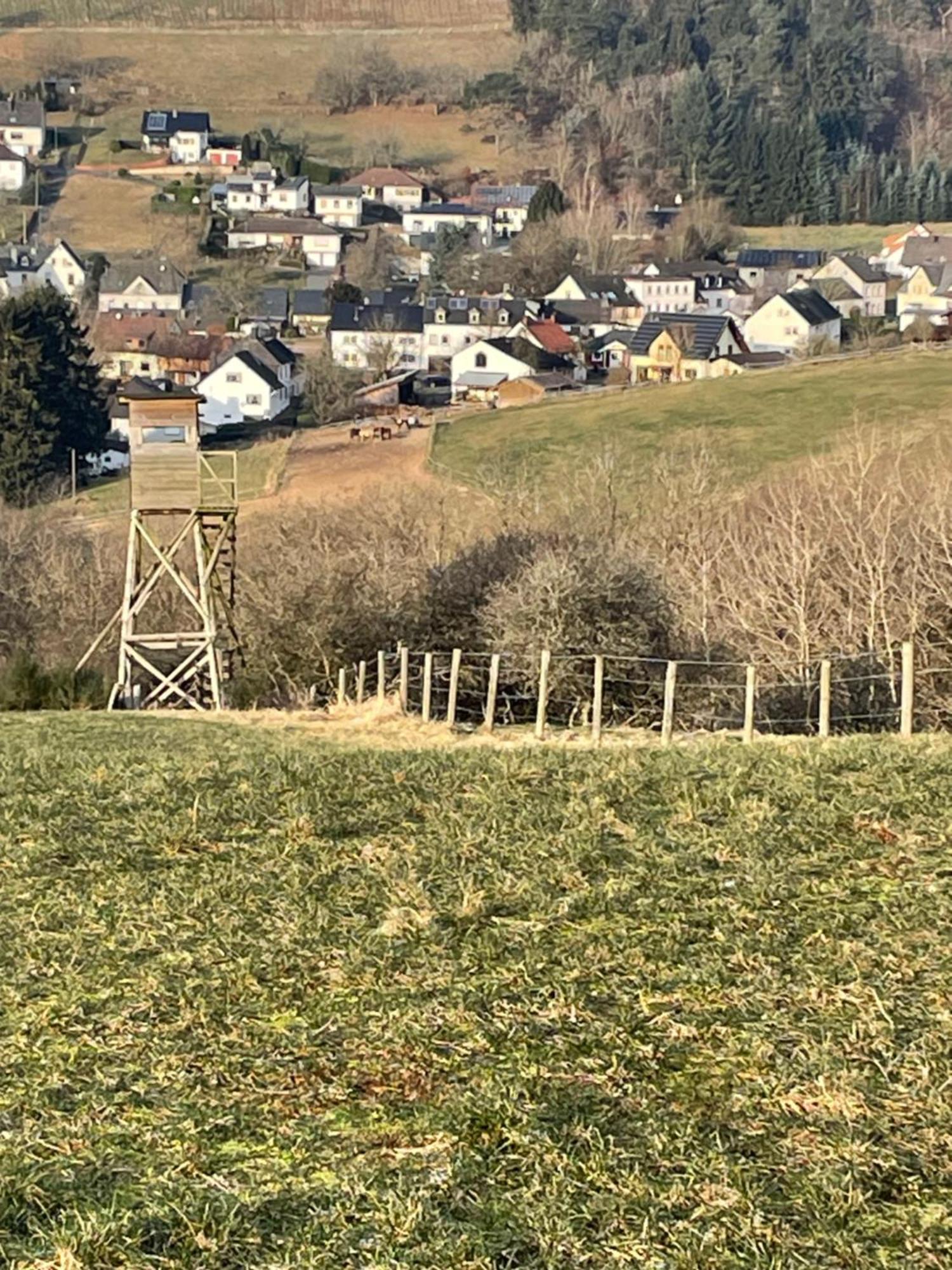 Pension Zur Quelle Deudesfeld Buitenkant foto