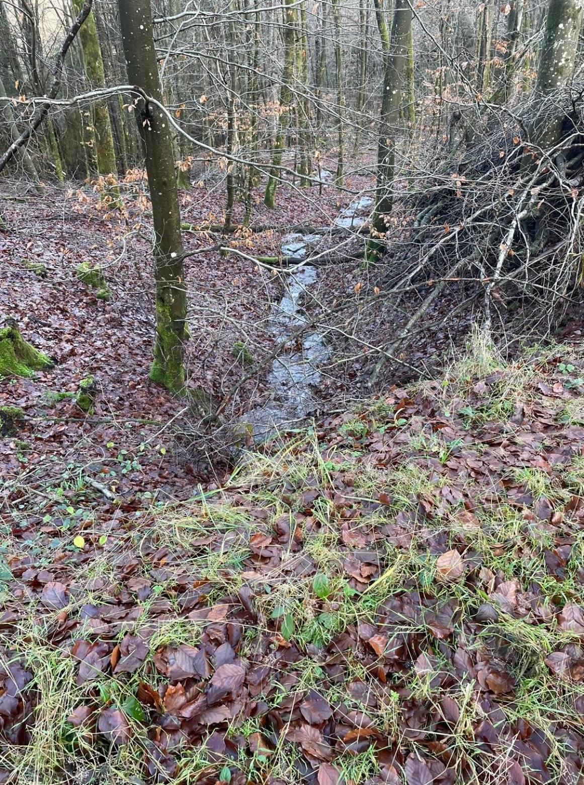 Pension Zur Quelle Deudesfeld Buitenkant foto