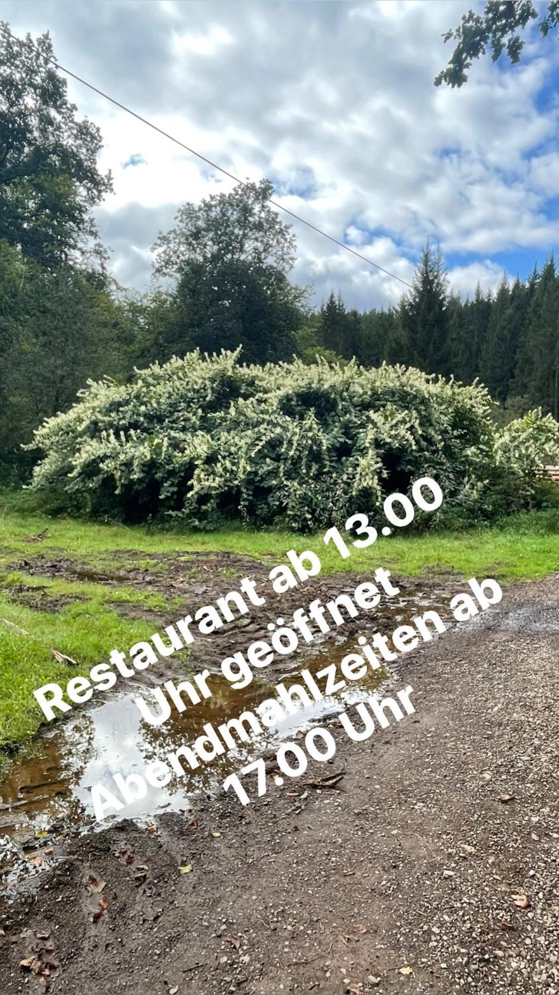 Pension Zur Quelle Deudesfeld Buitenkant foto