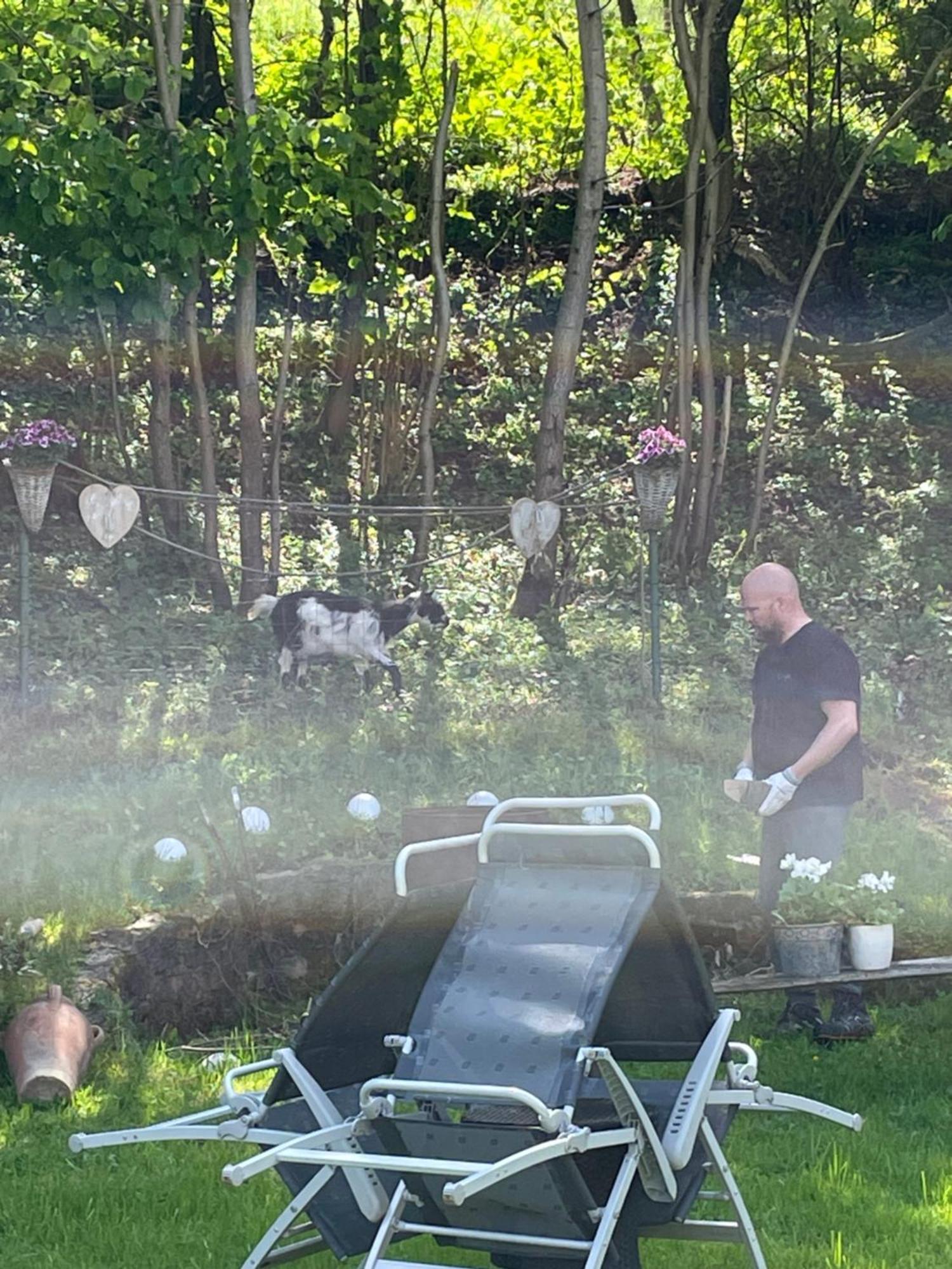 Pension Zur Quelle Deudesfeld Buitenkant foto